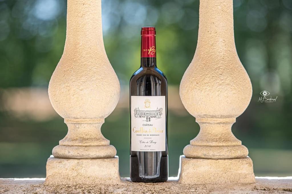 Chateau Couffins Asques Екстериор снимка